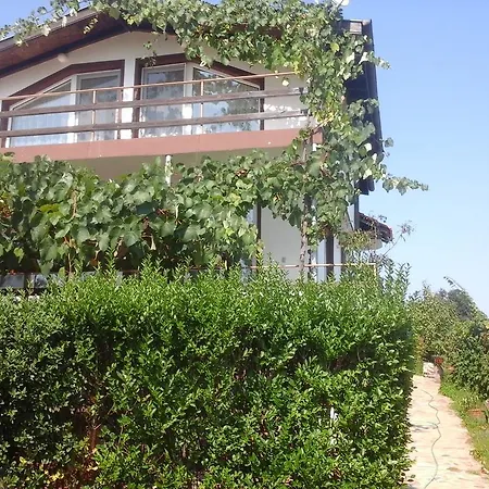 Kokita Izgrev (Burgas)